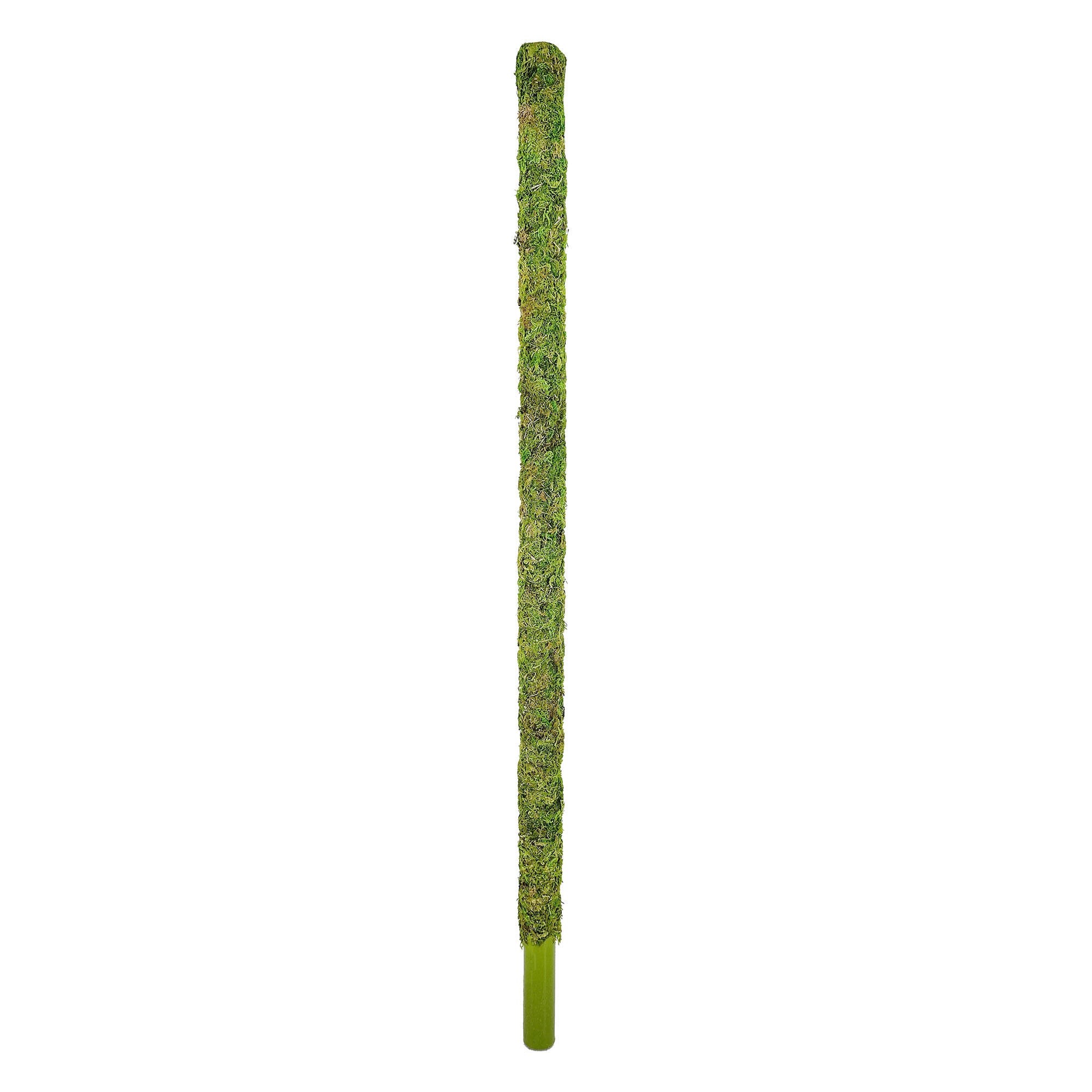 Green Moss Pole